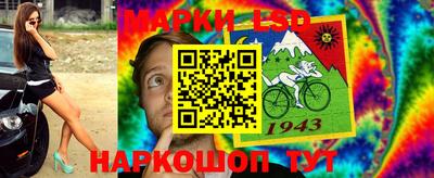 стафф Донской