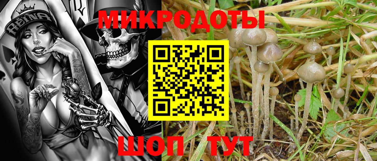 Псилоцибиновые грибы прущие грибы  Вход с VPN  Фролово  Галлюциногенные грибы ЛСД 